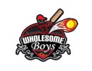 wholesome boys logo